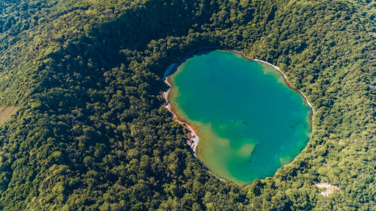 paradis vert du costa rica